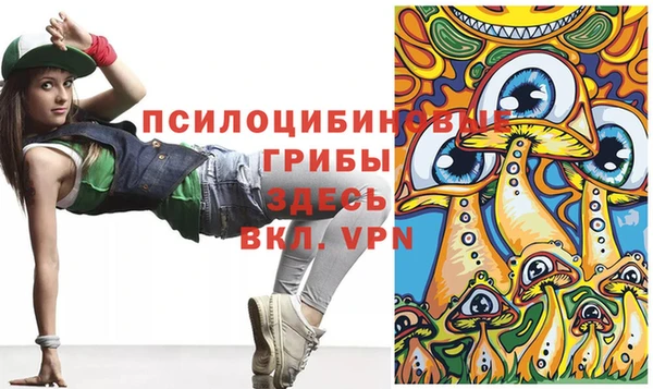 ALPHA PVP Лабытнанги