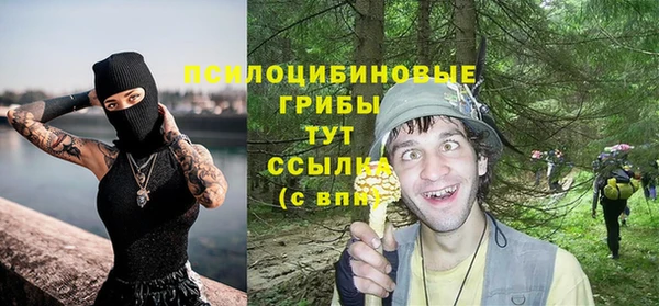 кристаллы Лагань