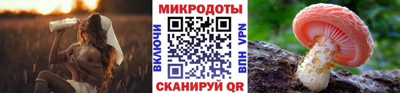 как найти наркотики  Северо-Курильск  Псилоцибиновые грибы Magic Shrooms 